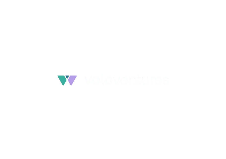 Volo Ventures — Brand identity